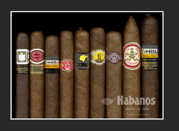 Habanos Cigar Poster 28 x 20in Print Cohiba Romeo y Julieta Partagas