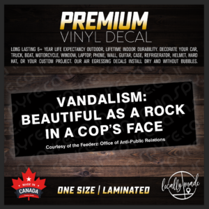 Vandalism / Feederz Decal INVERTED / Sticker Strat Build Nirvana / Kurt Cobain, LAMINATED