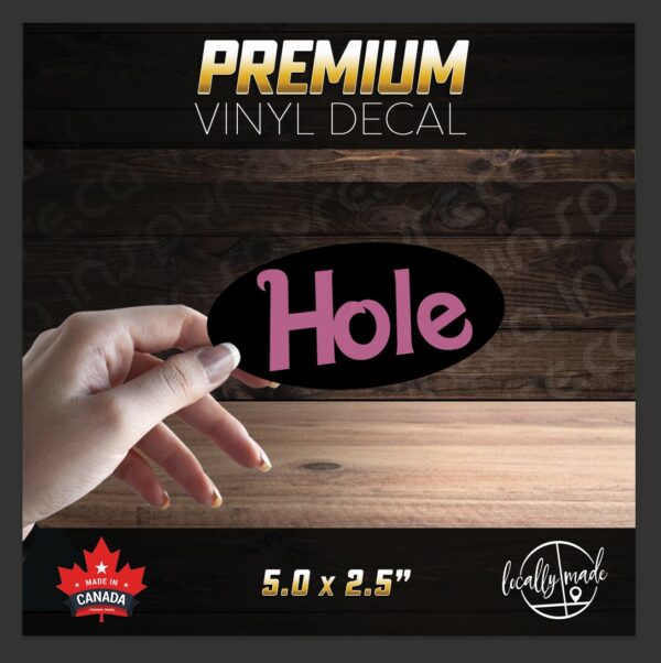 Hole Glossy Vinyl Decal / Sticker 5.0in | USA Alternative Punk Rock Grunge 90s - Image 2