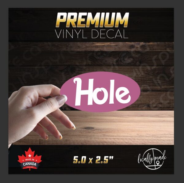 Hole Glossy Vinyl Decal / Sticker 5.0in | USA Alternative Punk Rock Grunge 90s